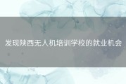 发现陕西无人机培训学校的就业机会