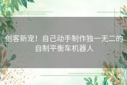 创客新宠！自己动手制作独一无二的自制平衡车机器人