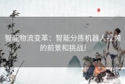 智能物流变革：智能分拣机器人视频的前景和挑战！