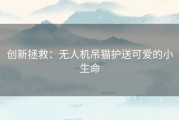 创新拯救：无人机吊猫护送可爱的小生命