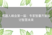 机器人峰会第一届：专家智囊齐聚探讨智慧未来