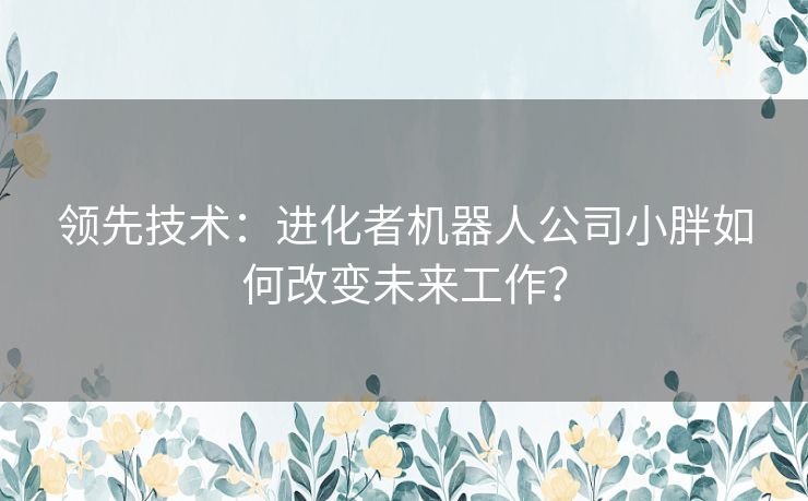 领先技术：进化者机器人公司小胖如何改变未来工作？