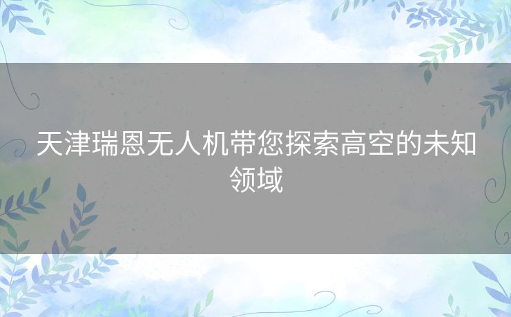 天津瑞恩无人机带您探索高空的未知领域