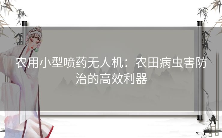 农用小型喷药无人机：农田病虫害防治的高效利器