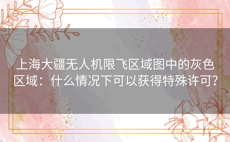 上海大疆无人机限飞区域图中的灰色区域：什么情况下可以获得特殊许可？