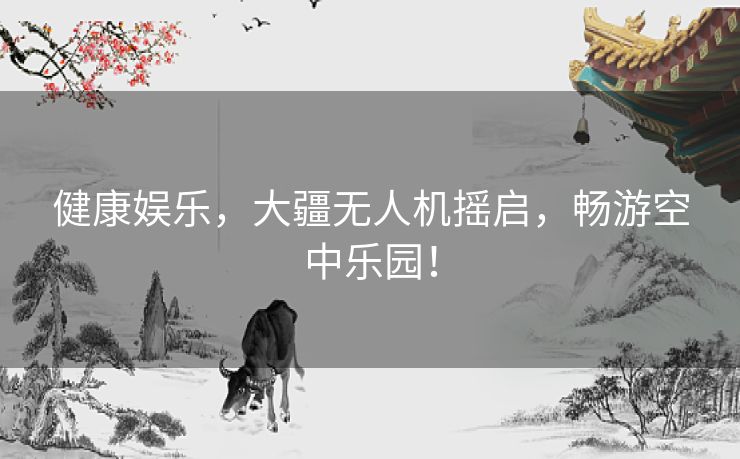 健康娱乐，大疆无人机摇启，畅游空中乐园！