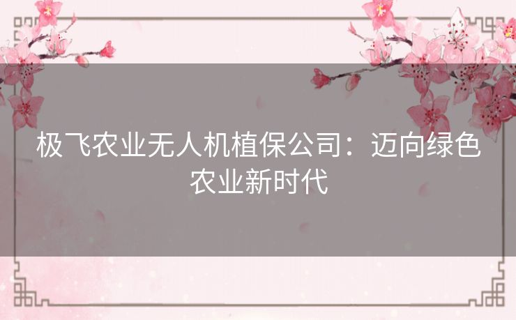 极飞农业无人机植保公司：迈向绿色农业新时代