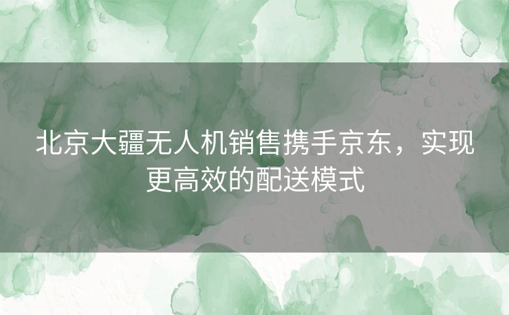 北京大疆无人机销售携手京东，实现更高效的配送模式