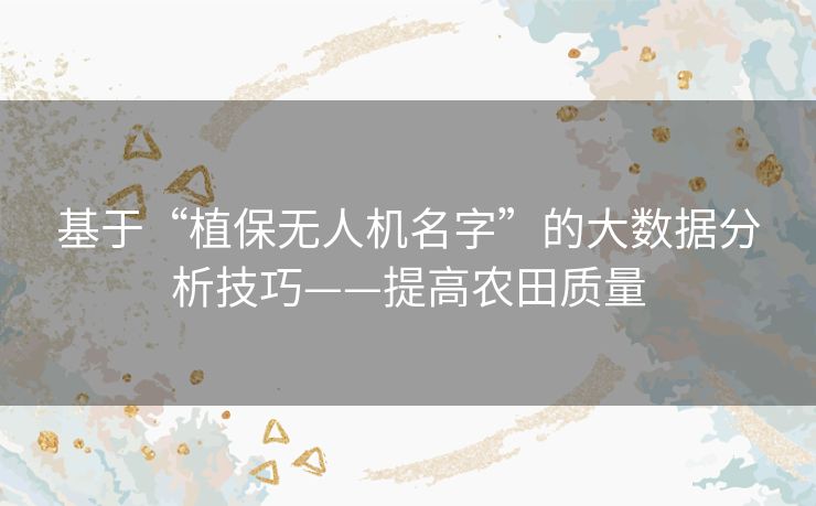 基于“植保无人机名字”的大数据分析技巧——提高农田质量