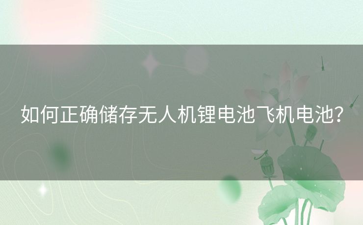 如何正确储存无人机锂电池飞机电池？