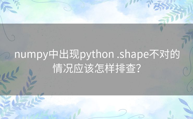 numpy中出现python .shape不对的情况应该怎样排查？