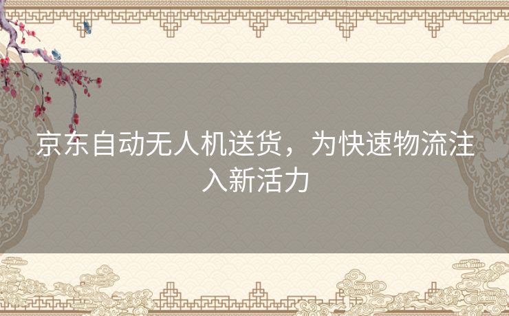 京东自动无人机送货，为快速物流注入新活力