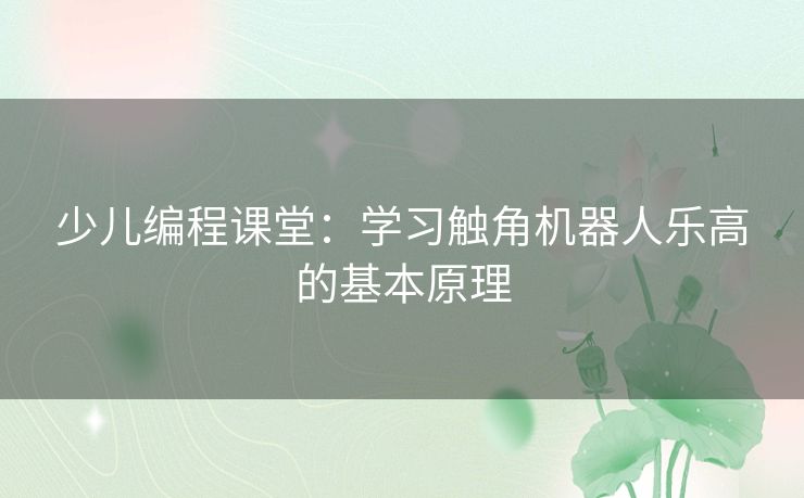 少儿编程课堂：学习触角机器人乐高的基本原理