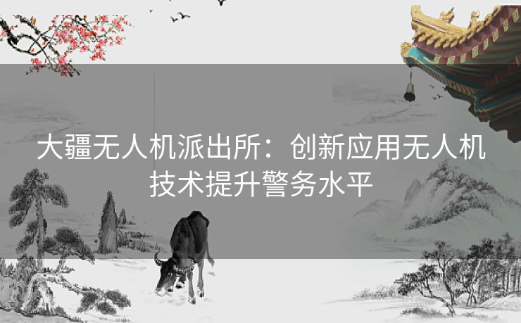 大疆无人机派出所：创新应用无人机技术提升警务水平