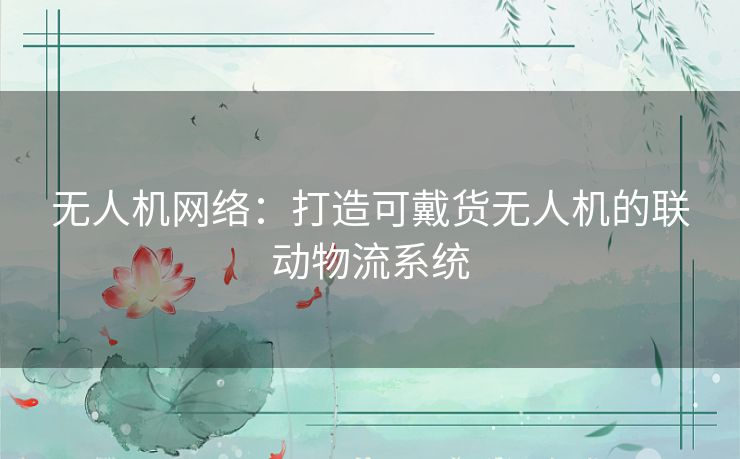 无人机网络：打造可戴货无人机的联动物流系统