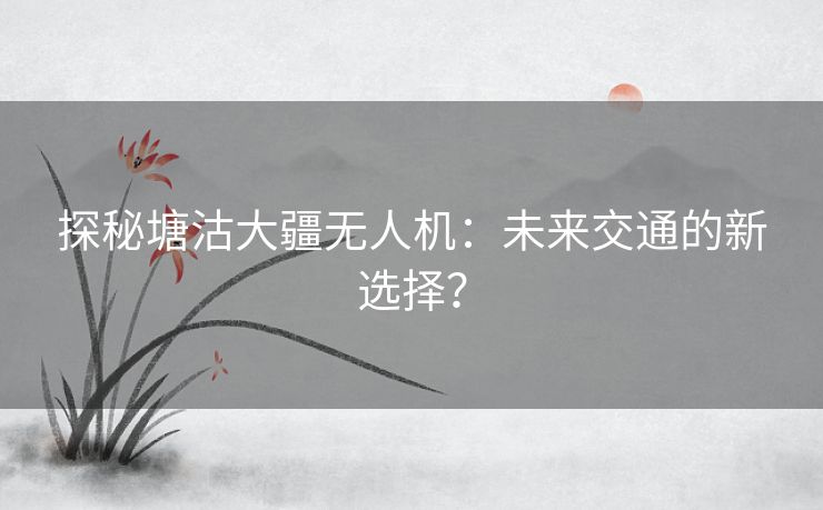 探秘塘沽大疆无人机：未来交通的新选择？