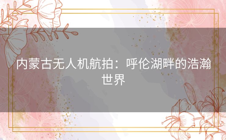 内蒙古无人机航拍：呼伦湖畔的浩瀚世界