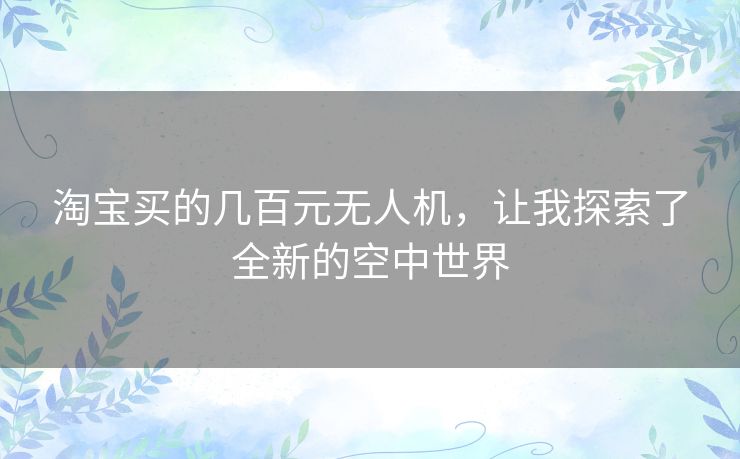 淘宝买的几百元无人机，让我探索了全新的空中世界