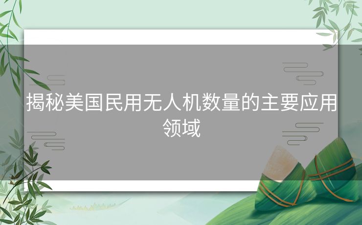 揭秘美国民用无人机数量的主要应用领域