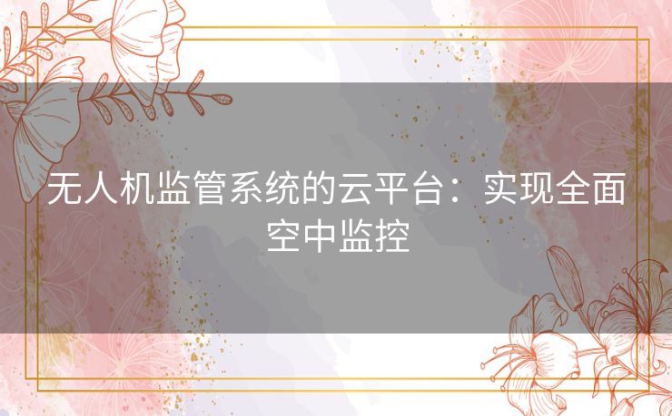 无人机监管系统的云平台：实现全面空中监控