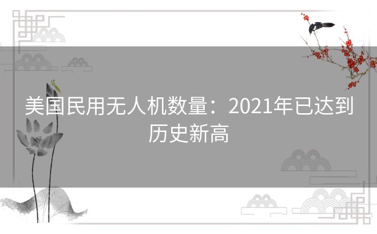 美国民用无人机数量：2021年已达到历史新高