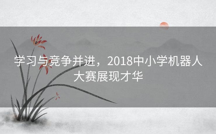 学习与竞争并进，2018中小学机器人大赛展现才华