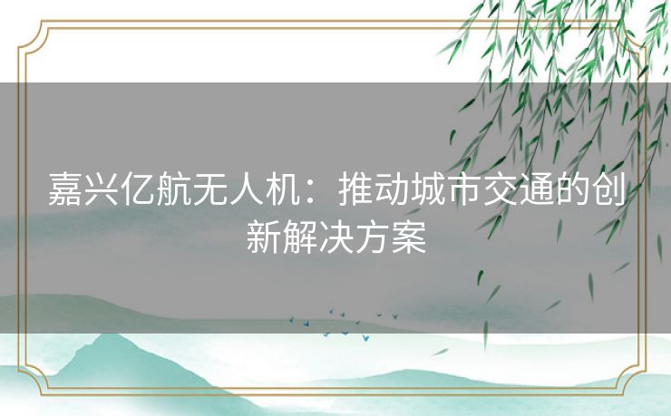 嘉兴亿航无人机：推动城市交通的创新解决方案