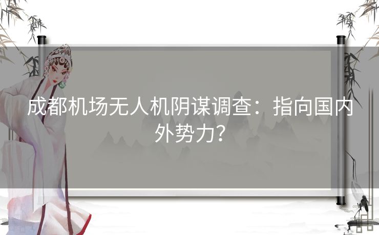 成都机场无人机阴谋调查：指向国内外势力？