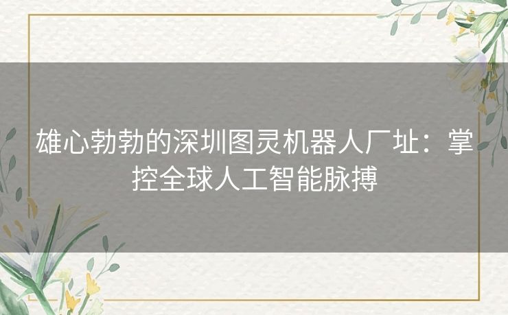 雄心勃勃的深圳图灵机器人厂址：掌控全球人工智能脉搏