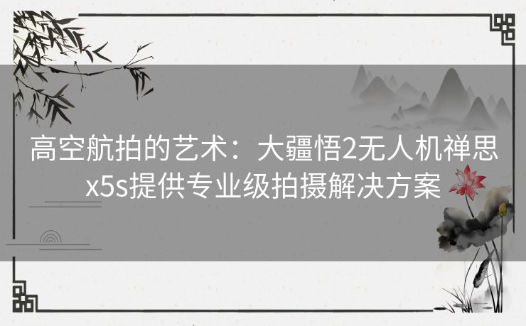 高空航拍的艺术：大疆悟2无人机禅思x5s提供专业级拍摄解决方案