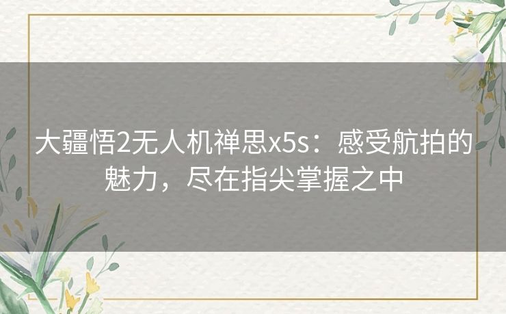 大疆悟2无人机禅思x5s：感受航拍的魅力，尽在指尖掌握之中