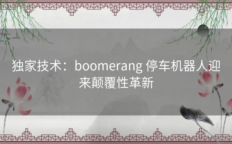 独家技术：boomerang 停车机器人迎来颠覆性革新