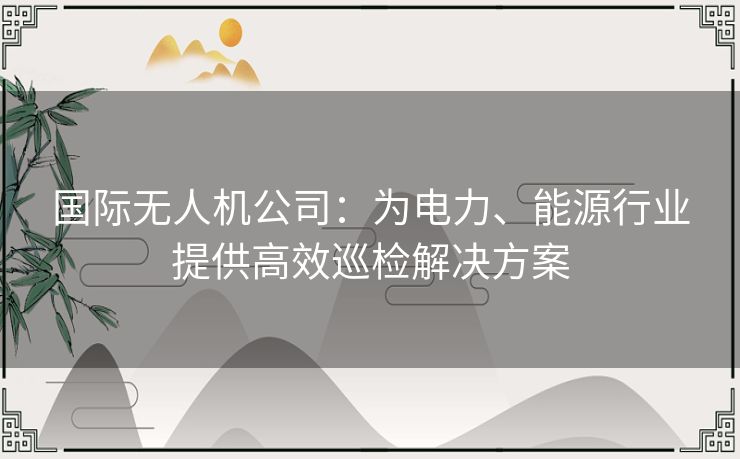 国际无人机公司：为电力、能源行业提供高效巡检解决方案