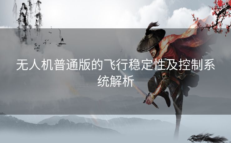 无人机普通版的飞行稳定性及控制系统解析