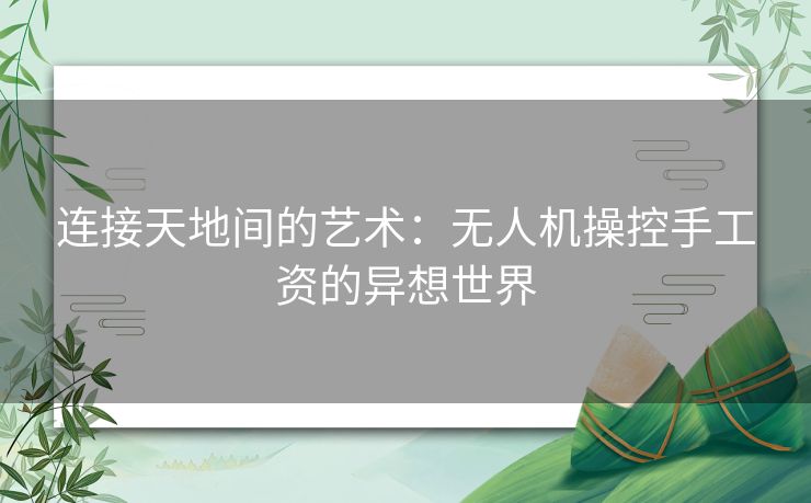 连接天地间的艺术：无人机操控手工资的异想世界