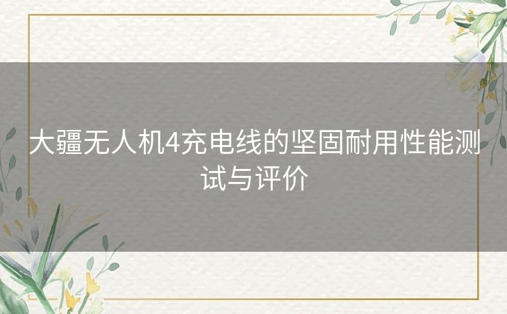 大疆无人机4充电线的坚固耐用性能测试与评价