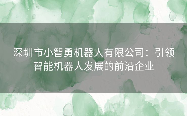 深圳市小智勇机器人有限公司：引领智能机器人发展的前沿企业