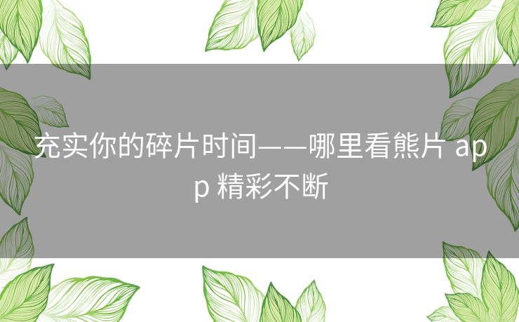 充实你的碎片时间——哪里看熊片 app 精彩不断