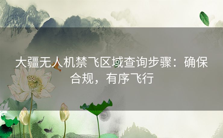 大疆无人机禁飞区域查询步骤：确保合规，有序飞行