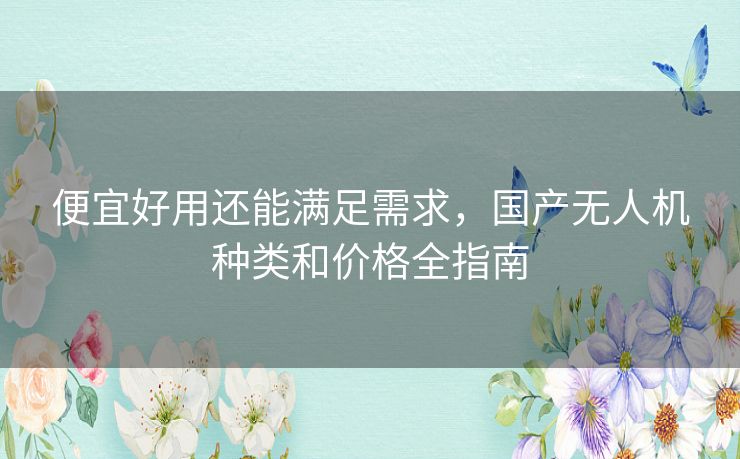 便宜好用还能满足需求，国产无人机种类和价格全指南