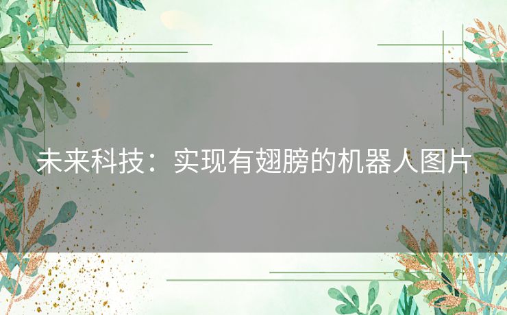 未来科技：实现有翅膀的机器人图片