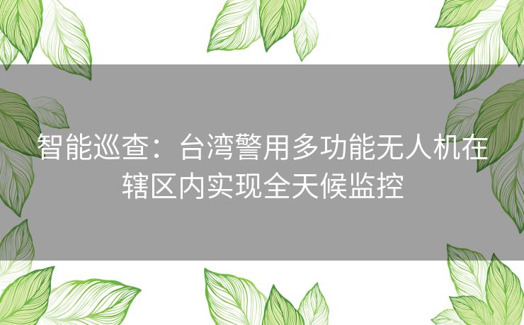 智能巡查：台湾警用多功能无人机在辖区内实现全天候监控