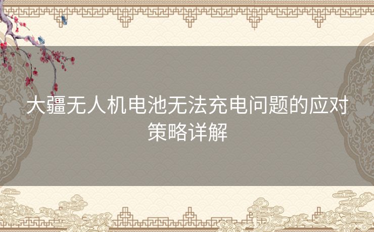 大疆无人机电池无法充电问题的应对策略详解