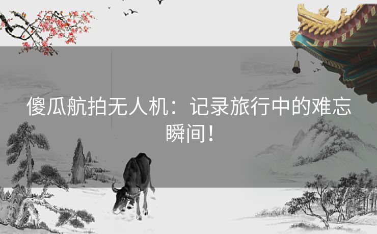 傻瓜航拍无人机：记录旅行中的难忘瞬间！