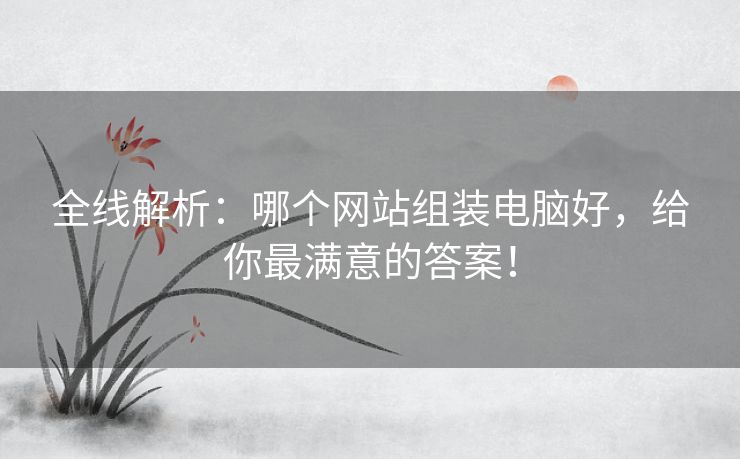 全线解析：哪个网站组装电脑好，给你最满意的答案！