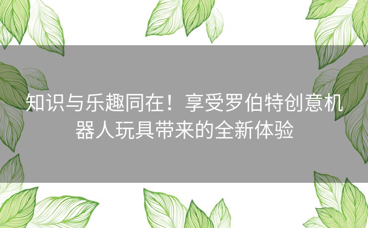 知识与乐趣同在！享受罗伯特创意机器人玩具带来的全新体验