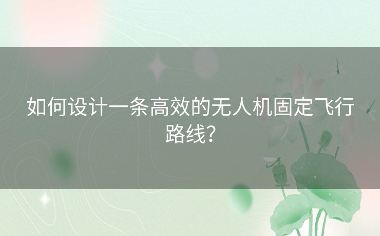 如何设计一条高效的无人机固定飞行路线？