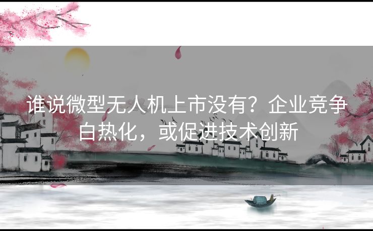 谁说微型无人机上市没有？企业竞争白热化，或促进技术创新