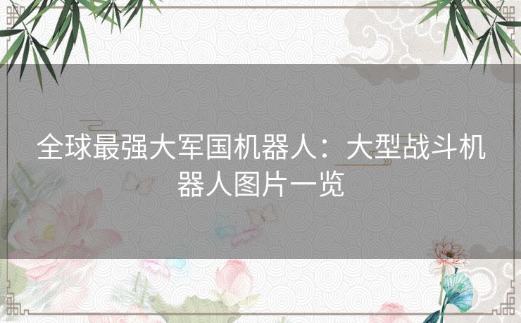 全球最强大军国机器人：大型战斗机器人图片一览