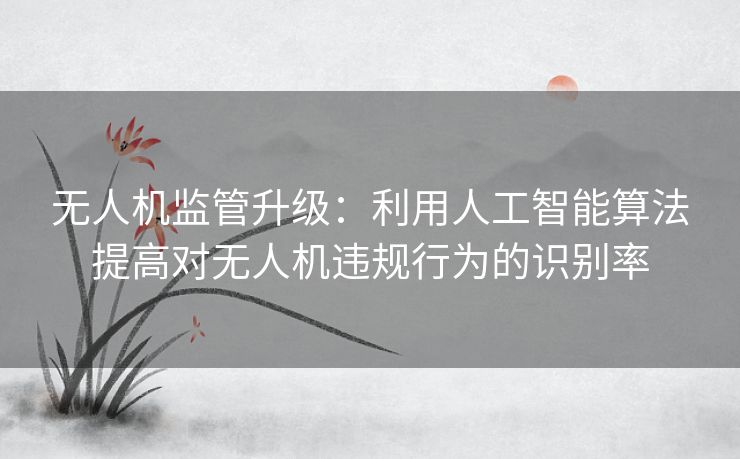 无人机监管升级：利用人工智能算法提高对无人机违规行为的识别率